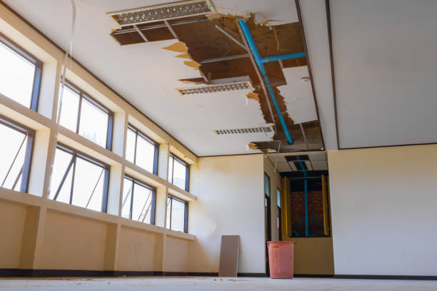 Best Mold removal after water damage  in Holt, MI