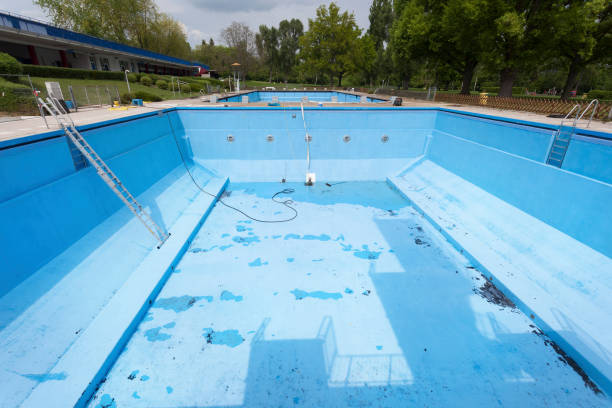 Best Emergency water damage restoration  in Holt, MI