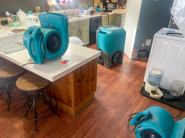 Best 24-hour water damage restoration  in Holt, MI