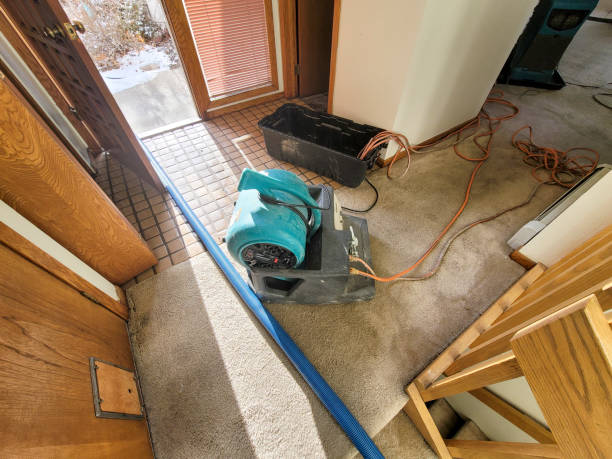Trusted Holt, MI Water damage restoration Experts