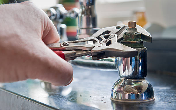 Best Emergency water damage restoration  in Holt, MI