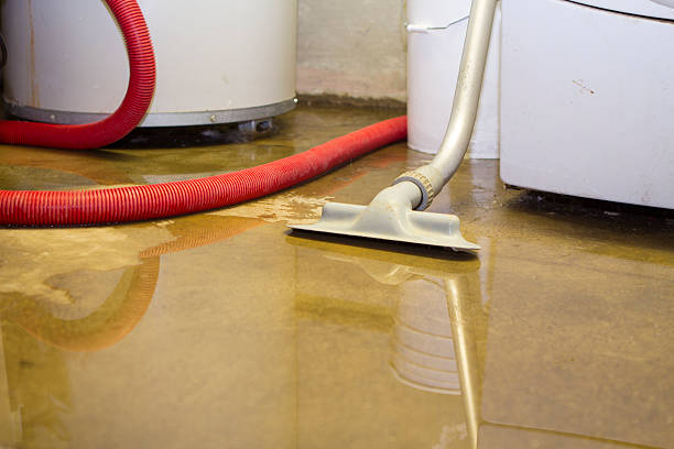 Best Local water damage restoration  in Holt, MI