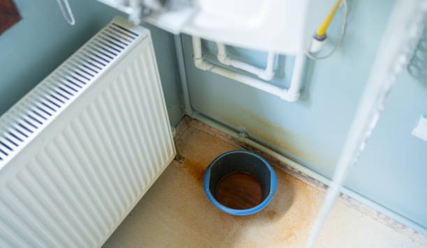 Best Fire Damage Restoration  in Holt, MI