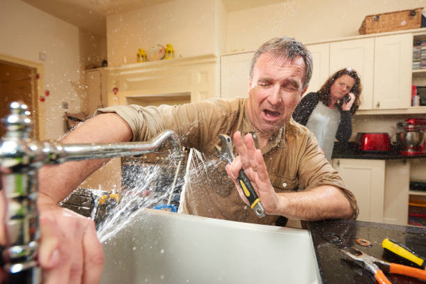 Best Water damage restoration experts  in Holt, MI